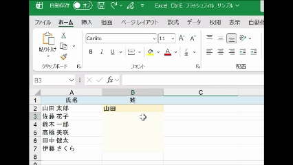 フラッシュフィルを実行したGIF